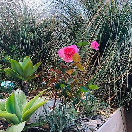 Quarto em Acomodações Particulares Mãe Foz